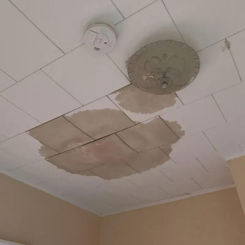 Ceiling Water Damage Repair in Elizabethtown, IL