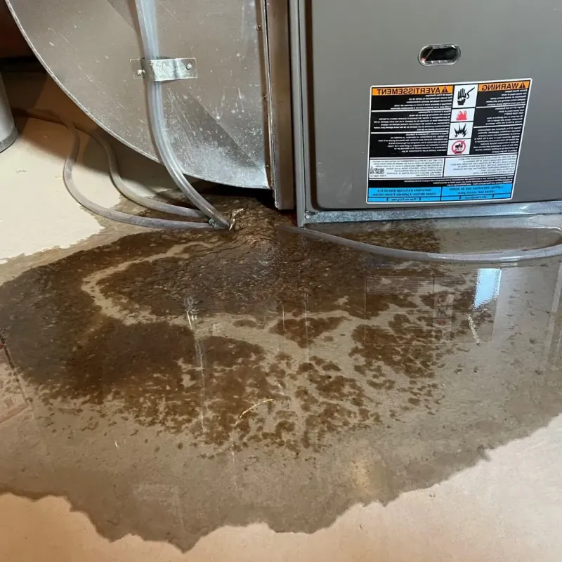 Pipe Burst and Leak Restoration in Elizabethtown, IL