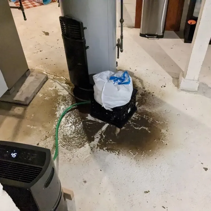 Sewage Backup Cleanup Service in Elizabethtown, IL